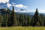 Every time we came out of the trees into a clearing, there was another great view of Mt. Rainier!