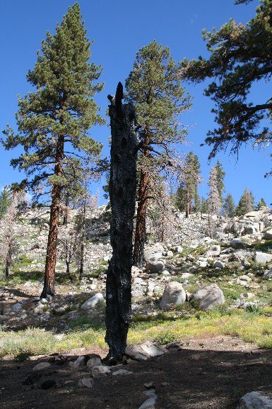 Monache Meadows & Olancha Peak