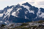 Mt. Shuksan towering over a lone tent.