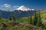 Mt. Baker.