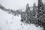 This is looking up the valley towards Source Lake.  The South Fork of the Snoqualmie River starts at Source Lake, and flows down this valley.