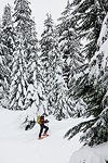 Steve skiing up the valley.