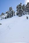 I managed to make a few good turns down this section of nice soft powder, before the slope leveled off and we headed into the trees.