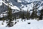 Charlie had fun chasing me as I skied back down to the Steven's Pass parking lot.