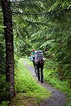 The route to the Sulphide Glacier starts on the Shannon Ridge Trail in the forest.  It was mostly cloudy above us as we started hiking Saturday morning.